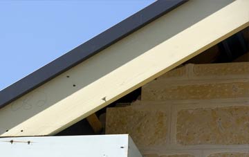 Lindsey Tye fascia repairs