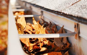 Lindsey Tye gutter cleaning companies