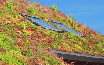Lindsey Tye living roof systems