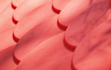 Lindsey Tye plastic roof costs