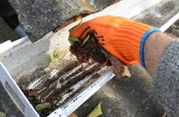 rated Lindsey Tye gutter cleaning companies