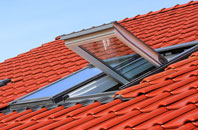 Lindsey Tye roof window