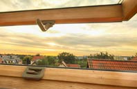 rated Lindsey Tye roof window companies